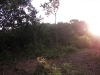DSCI0214.JPG